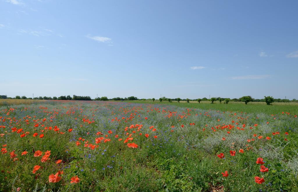 Agriturismo Residence Caporale Remanzacco Экстерьер фото